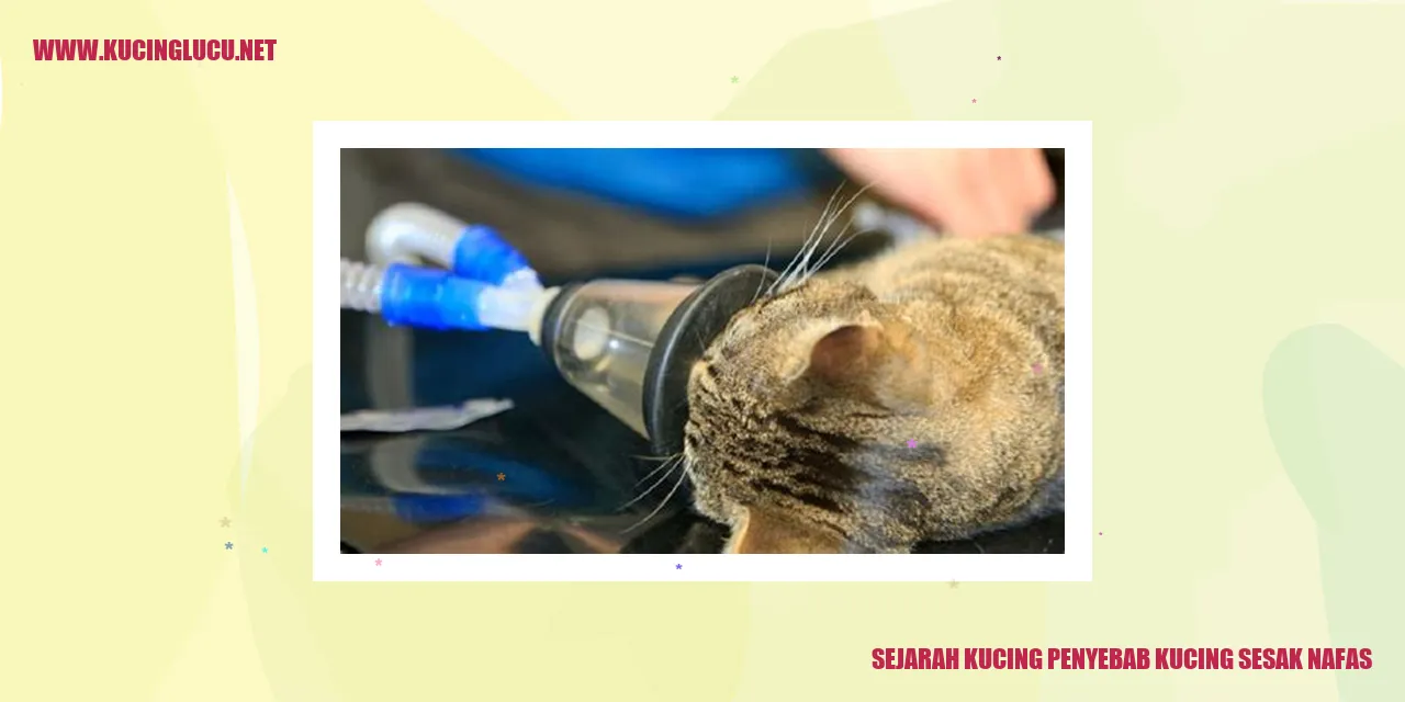 Sejarah Kucing penyebab kucing sesak nafas