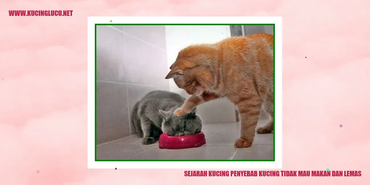 Sejarah Kucing penyebab kucing tidak mau makan dan lemas
