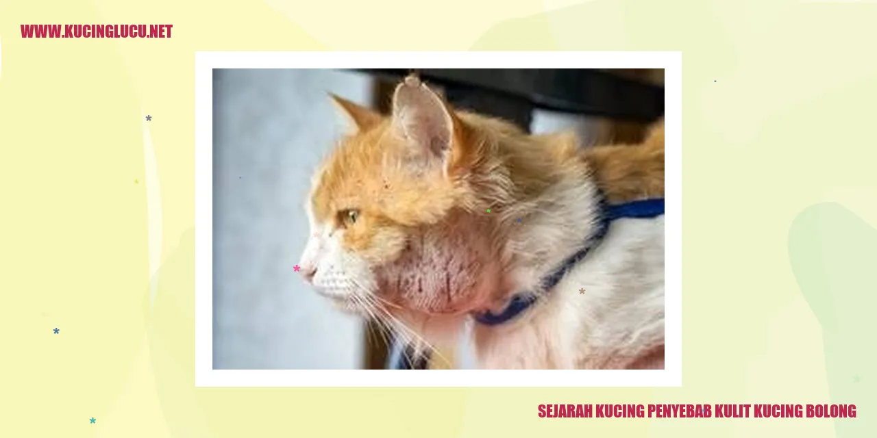 Sejarah Kucing Penyebab Kulit Kucing Bolong