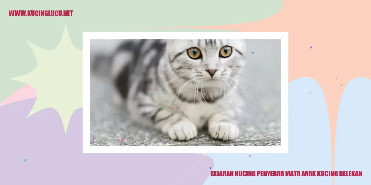 Ilustrasi Kucing