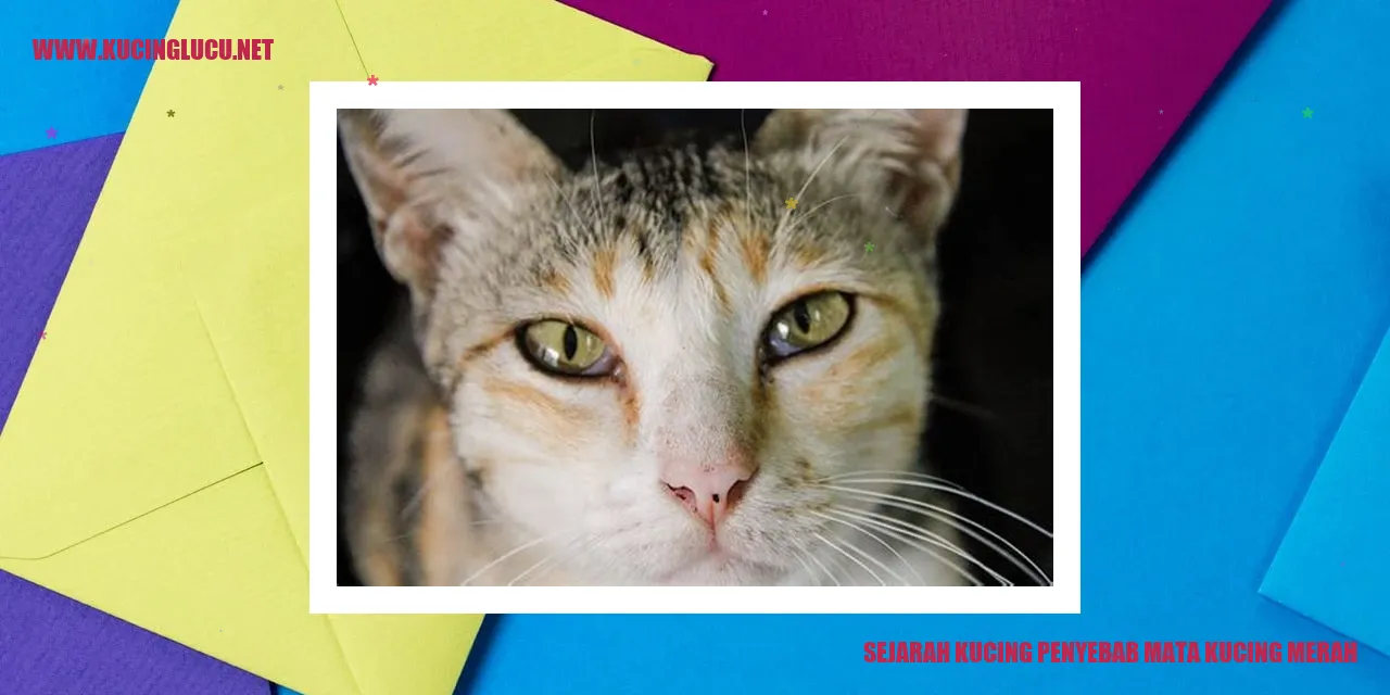 Terlihat Kucing dengan Mata Merah