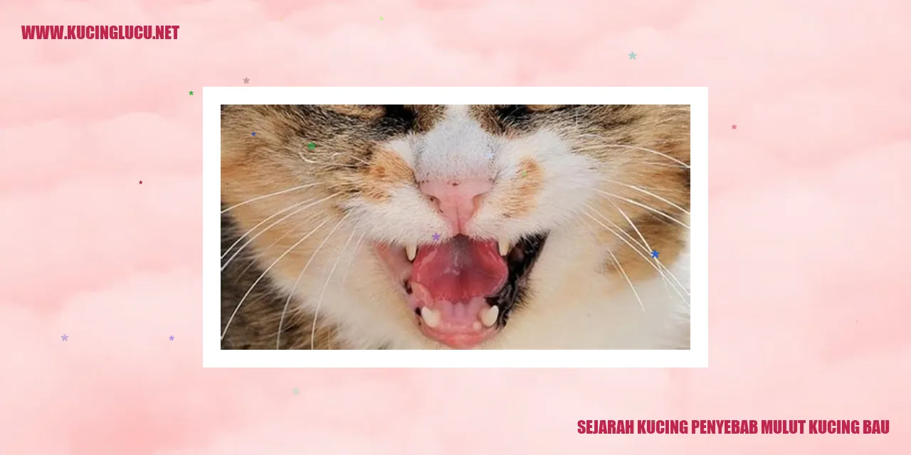 Gambar: Sejarah Kucing Penyebab Mulut Kucing Bau