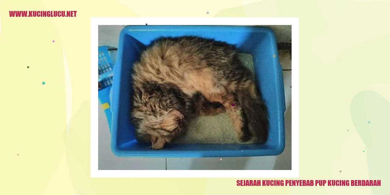 Sejarah Kucing Menyebabkan Masalah Pada Pup Kucing