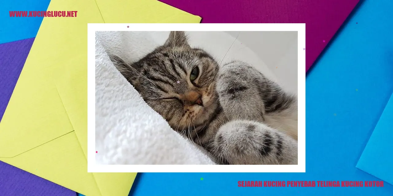 Gambar Kucing