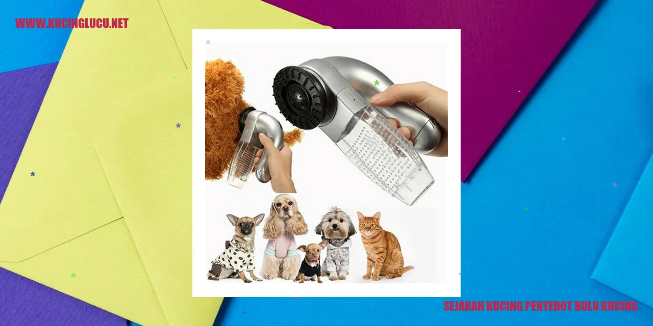 Gambar Kucing Penyedot Bulu Kucing