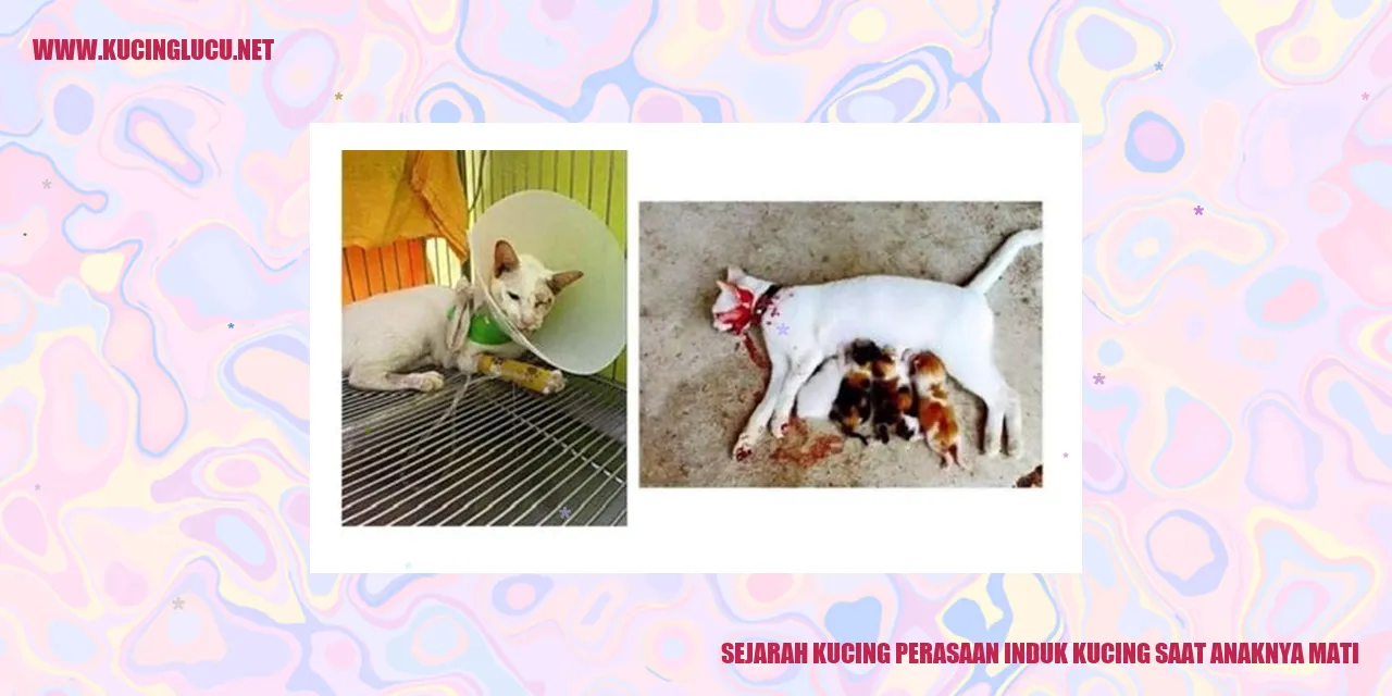 Foto induk kucing dengan anaknya