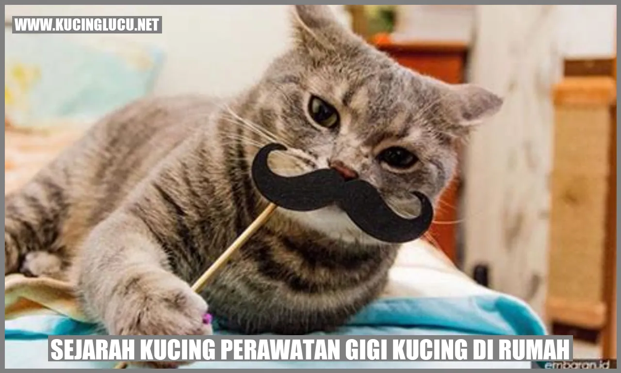 Kucing perawatan gigi kucing di rumah