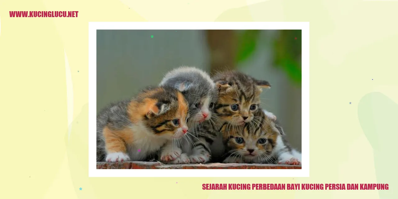 Sejarah Kucing dan Perbedaan Antara Bayi Kucing Persia dan Kampung