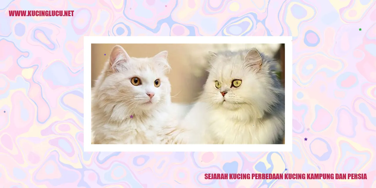 Gambar Kucing