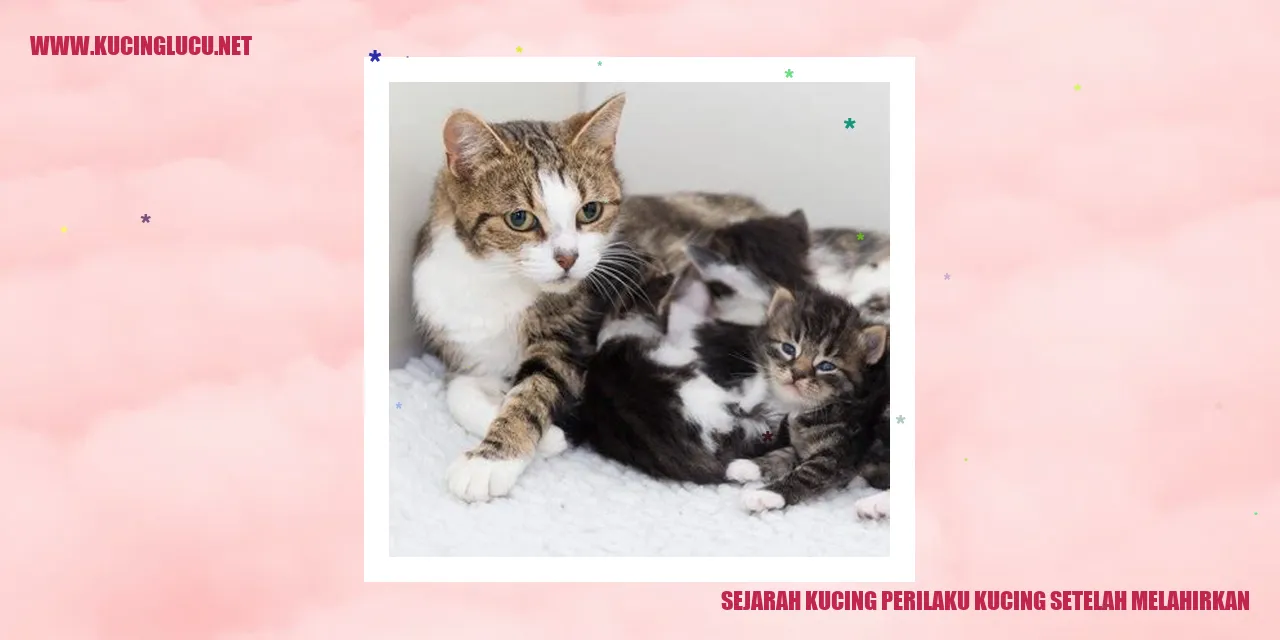 Gambar Kucing dan Anaknya