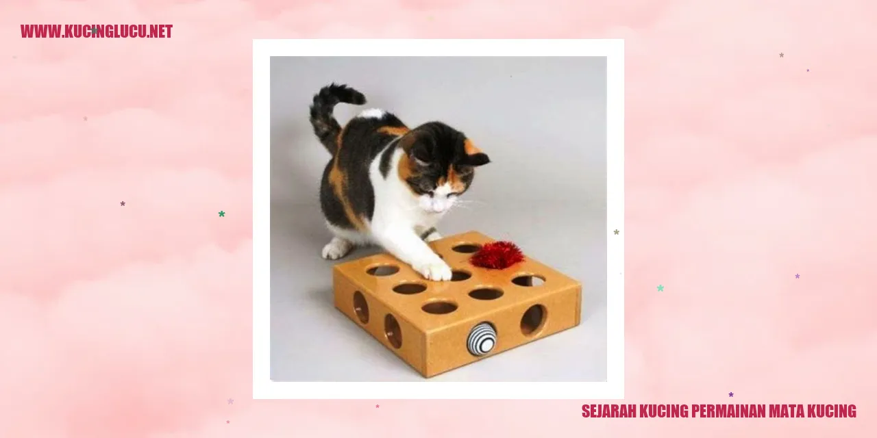 Gambar Bermain Tabrak Balik pada Kucing