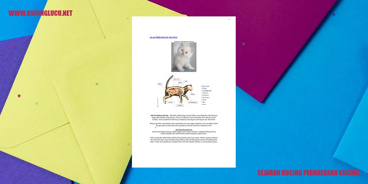 Ilustrasi Kucing