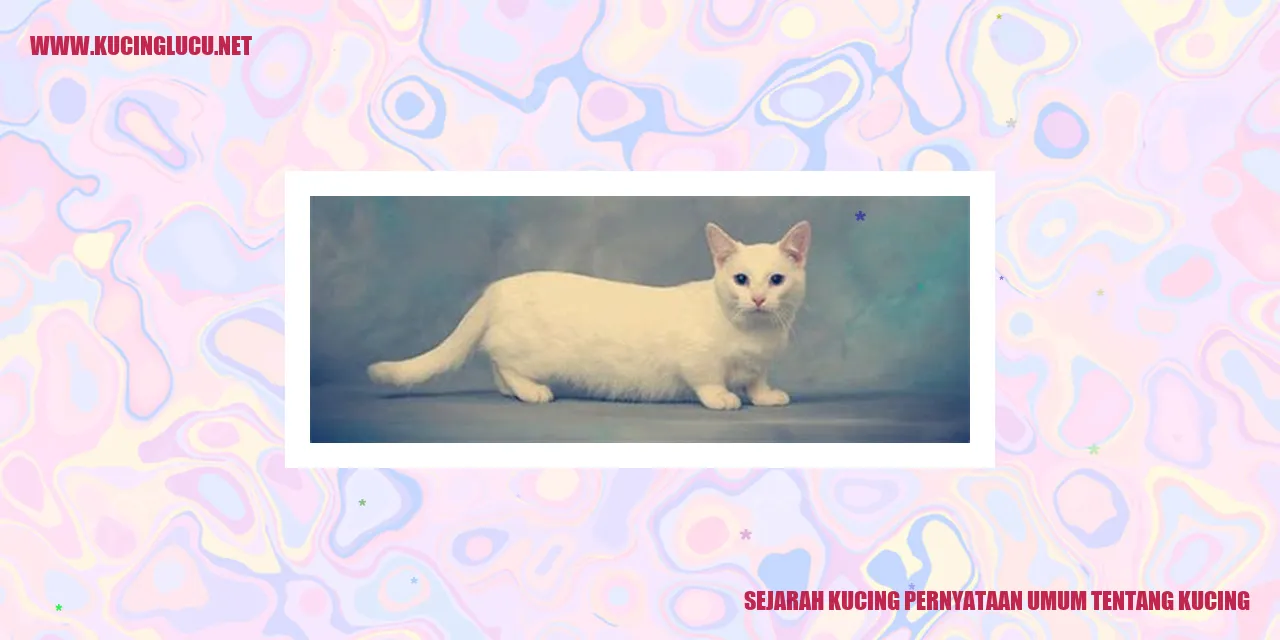 Ilustrasi Kucing