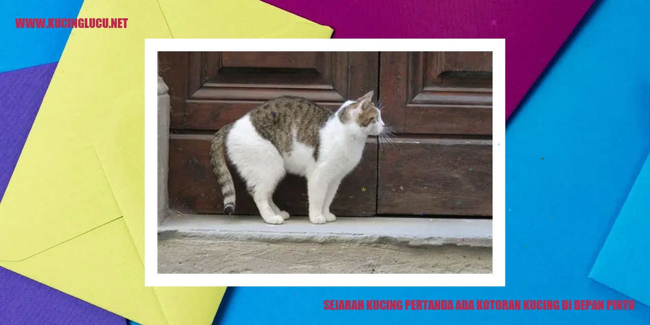 Sejarah Kucing pertanda ada kotoran kucing di depan pintu