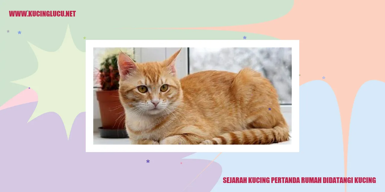 Gambar Sejarah Kucing