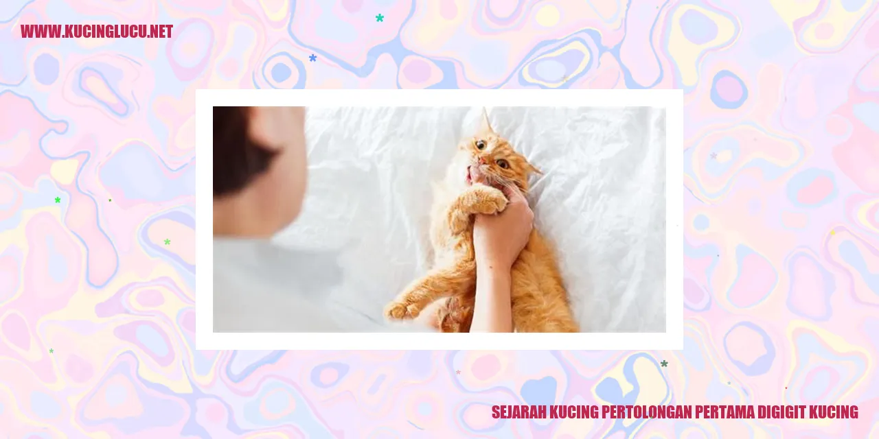 Sejarah Kucing Pertolongan Pertama Digigit Kucing