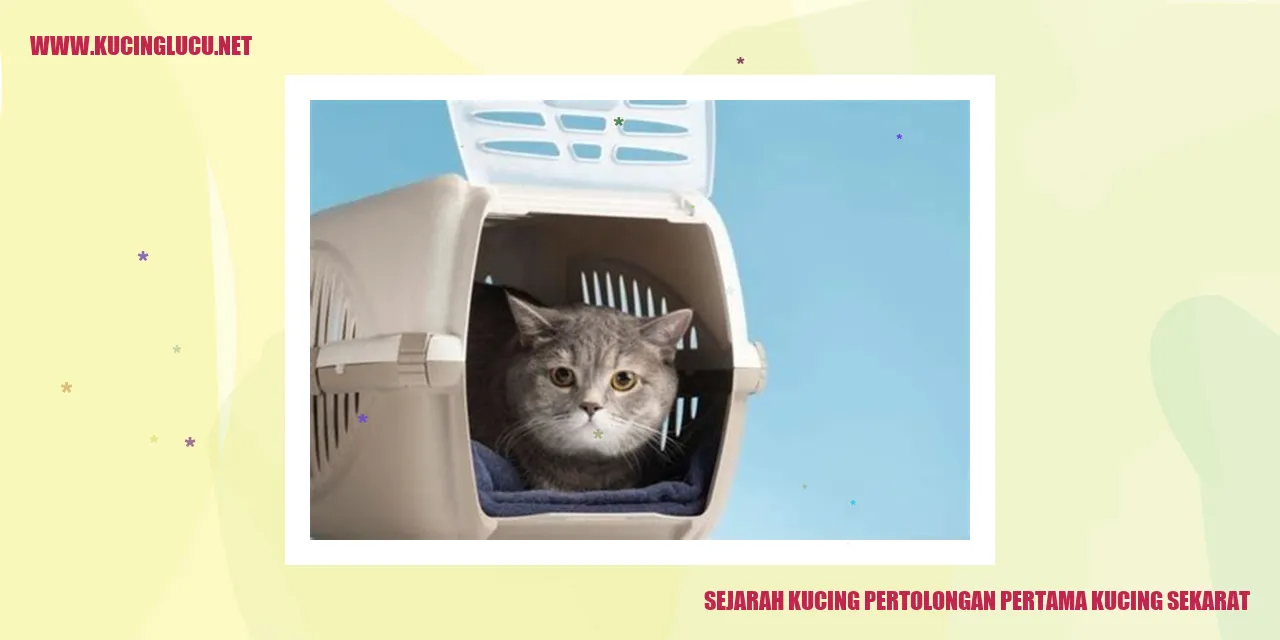 Sejarah Kucing Pertolongan Pertama Kucing Sekarat