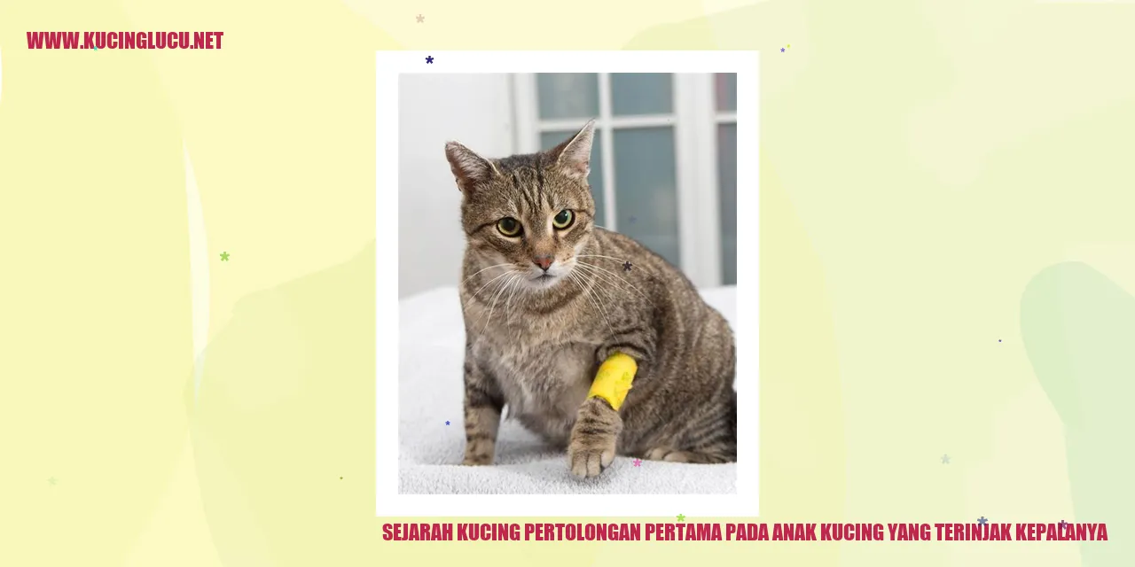 Sejarah Kucing Pertolongan Pertama