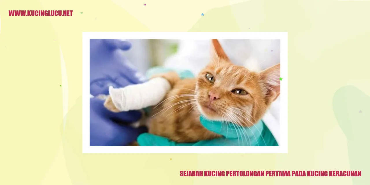 Kucing Mengawasi Kucing yang Keracunan