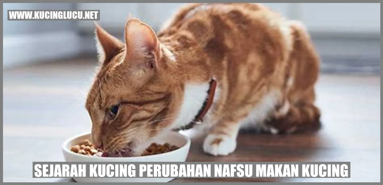 Sejarah Perubahan Nafsu Makan Kucing