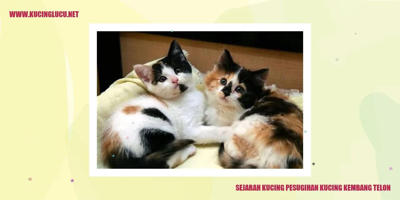 Ilustrasi Kucing Kembang Telon