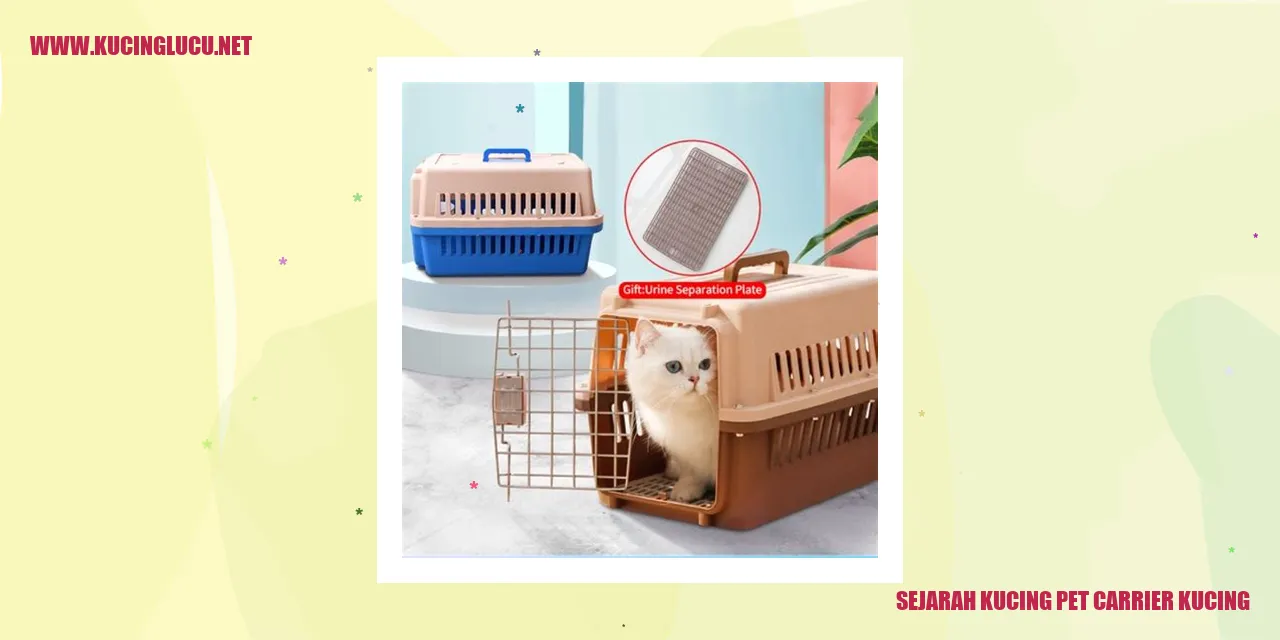 Penyelenggara Kucing Hewan Peliharaan