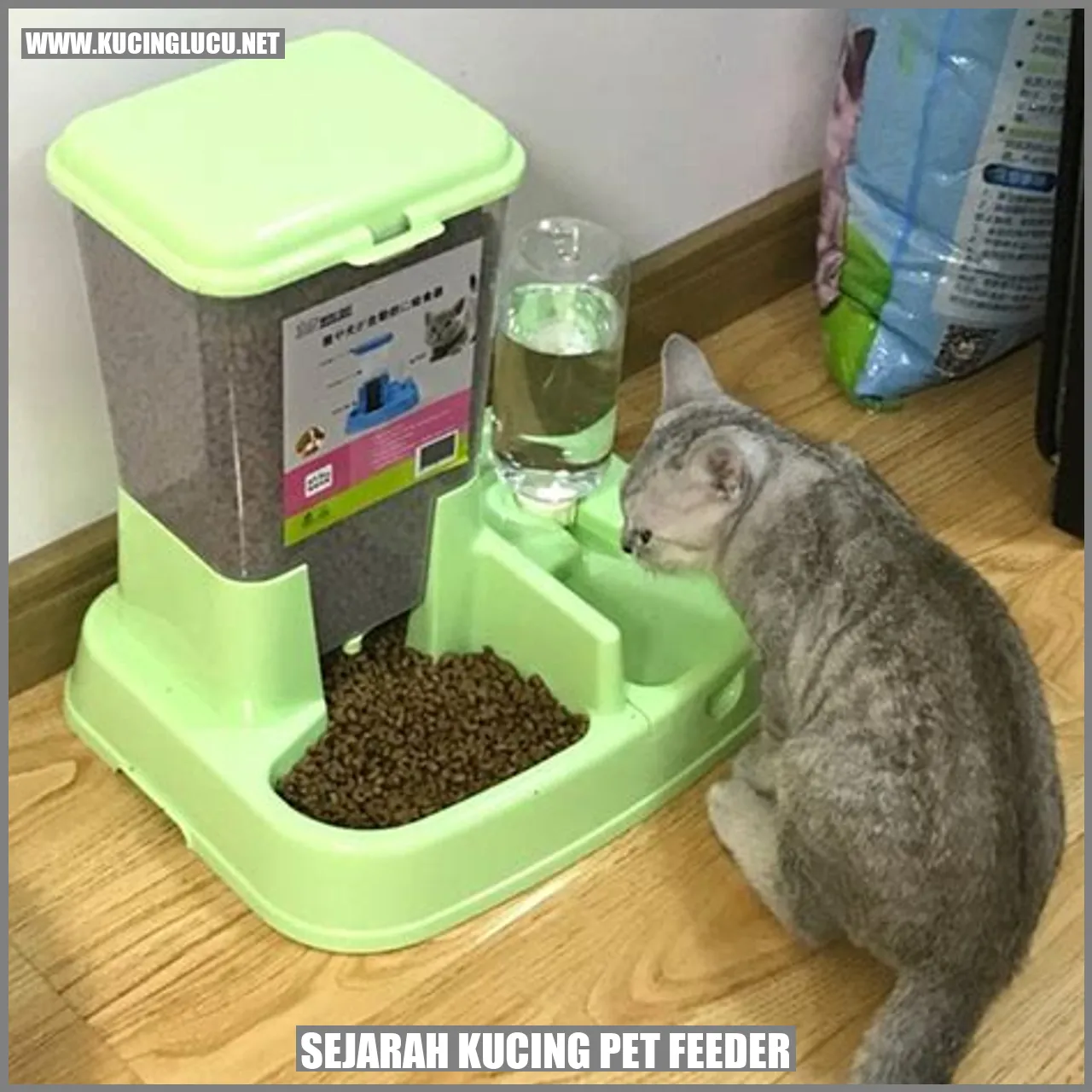 Gambar Pet Feeder Kucing