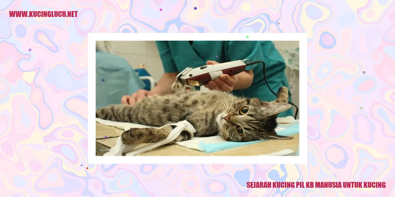 Pil KB manusia untuk mengendalikan populasi kucing