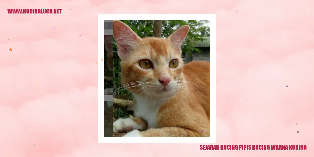 Kucing Warna Kuning