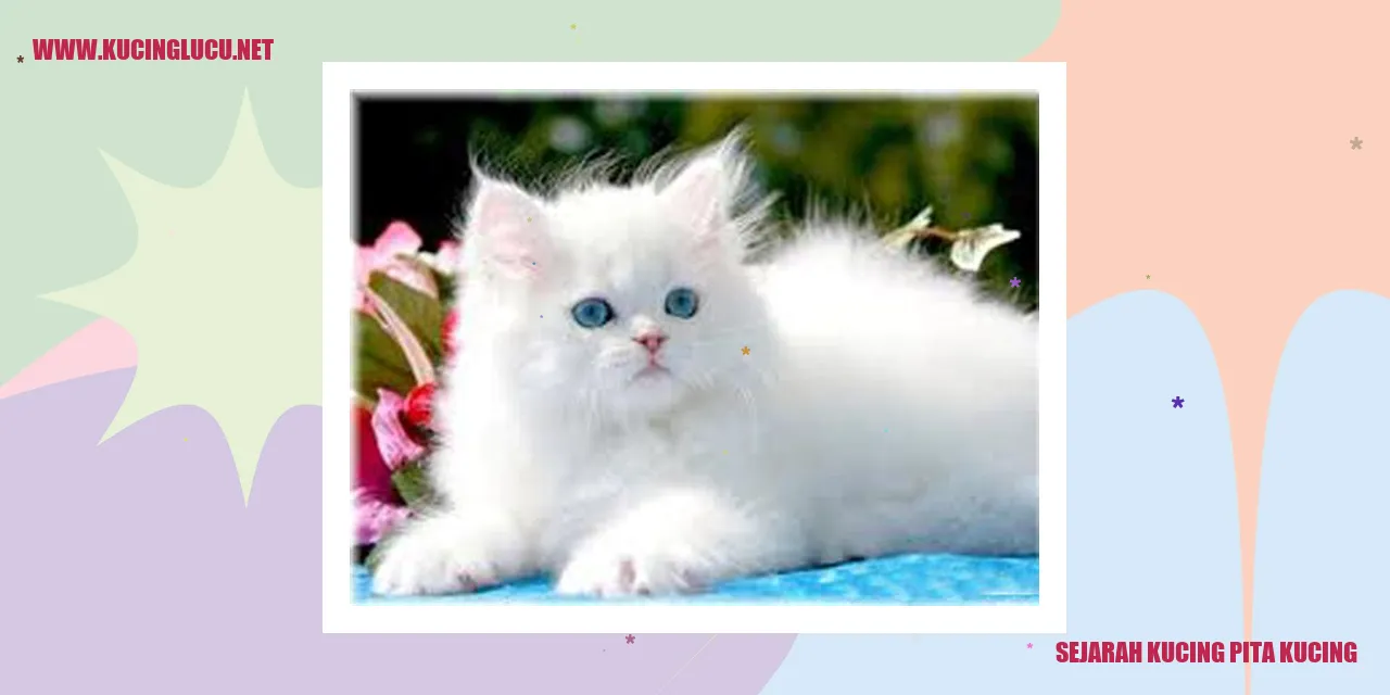 Gambar Kucing Pita Kucing