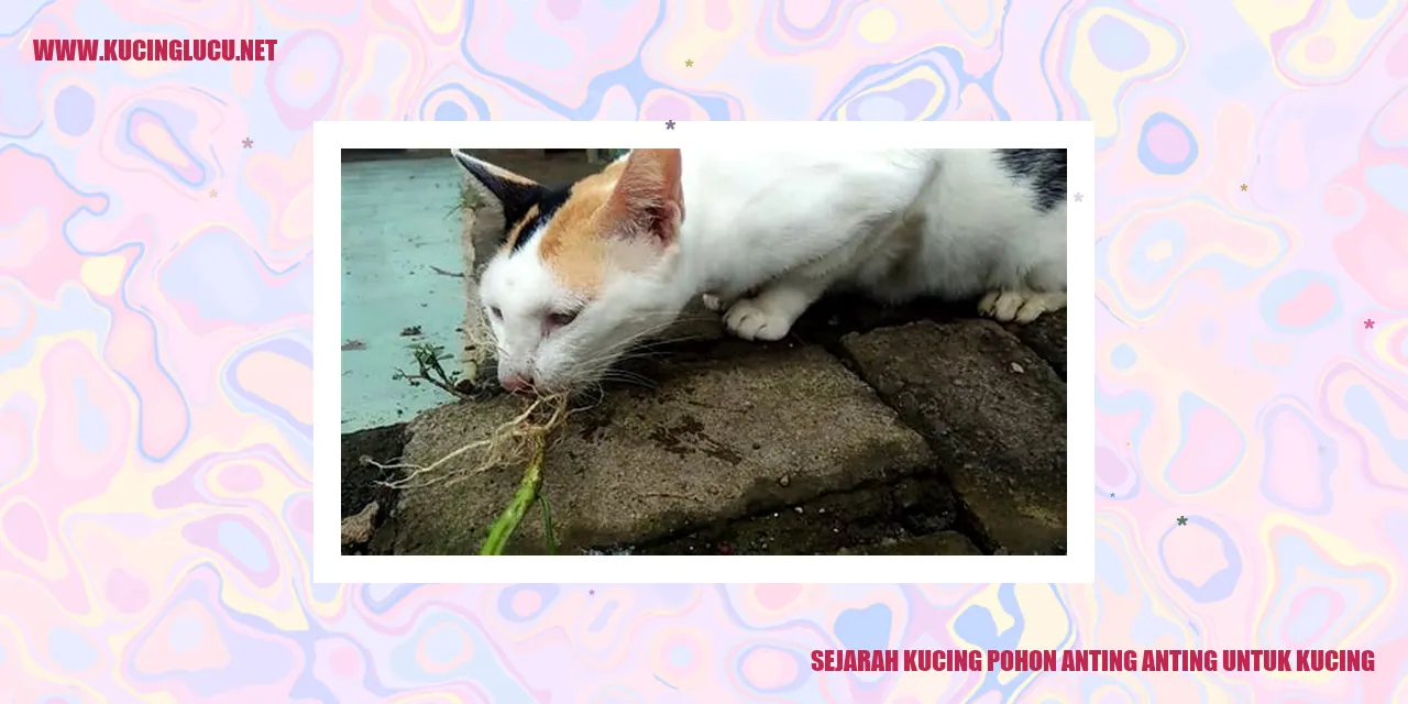 Gambar Kucing Pohon Anting Anting
