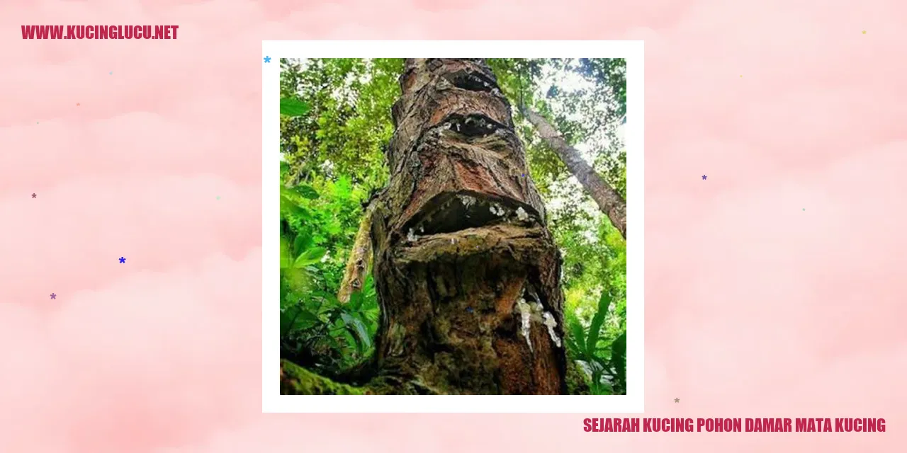 Gambar Kucing Pohon Damar Mata Kucing