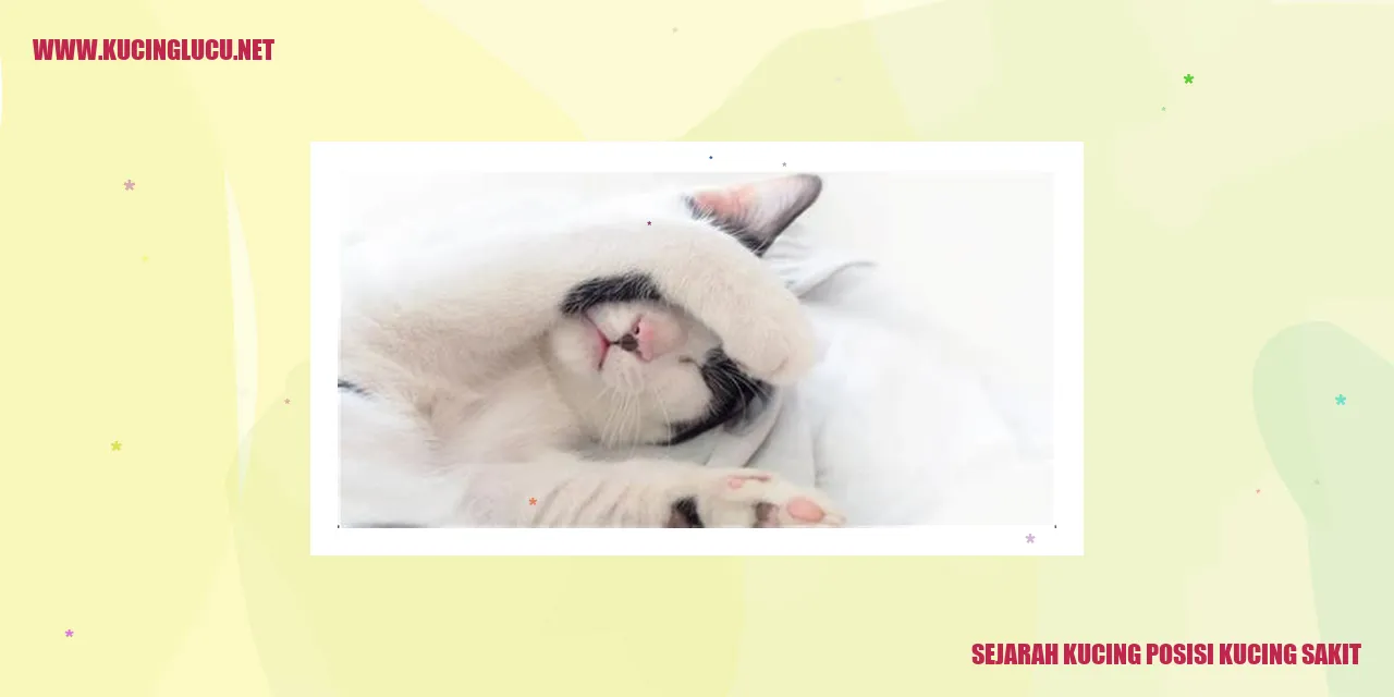 Gambar Kucing