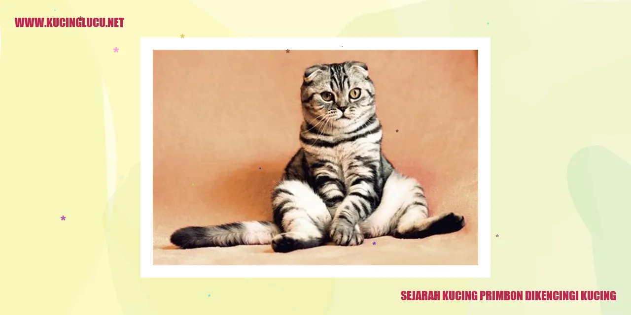 Sejarah Kucing Primbon Dikencingi Kucing
