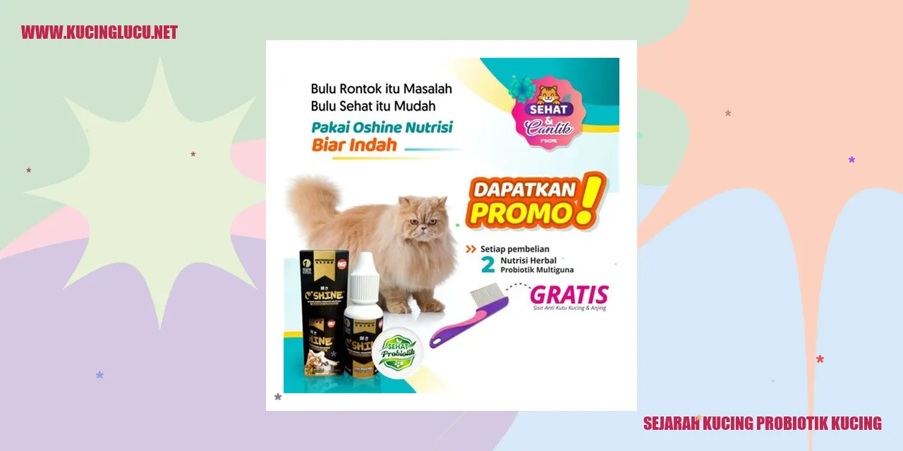 Gambar Kucing Probiotik