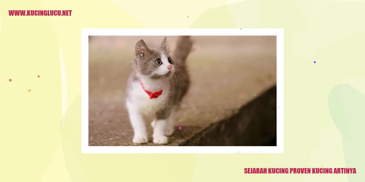Sejarah Kucing