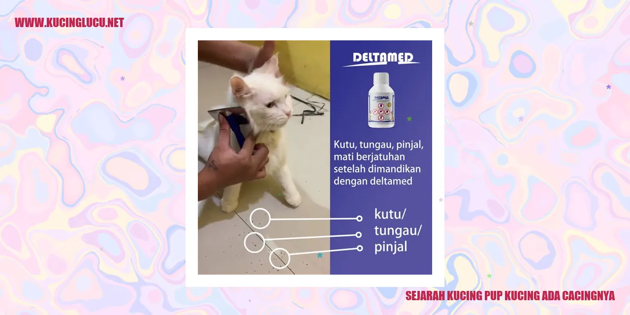 Sejarah Kucing Pup Kucing Ada Cacingnya