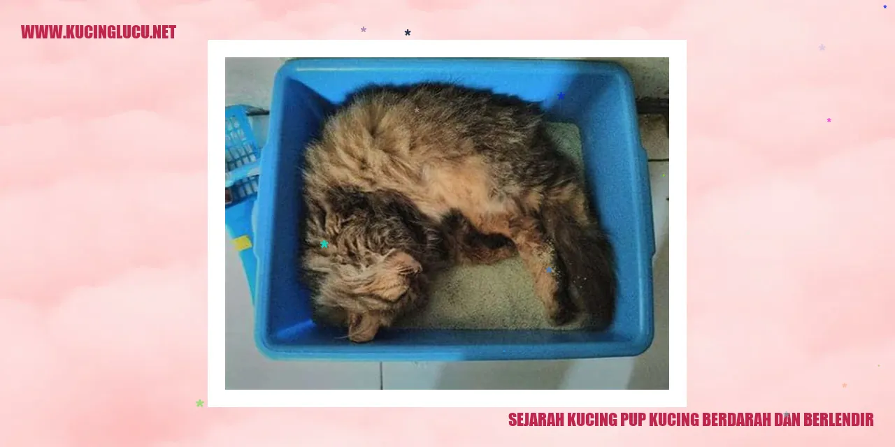Gambar Kucing Pup