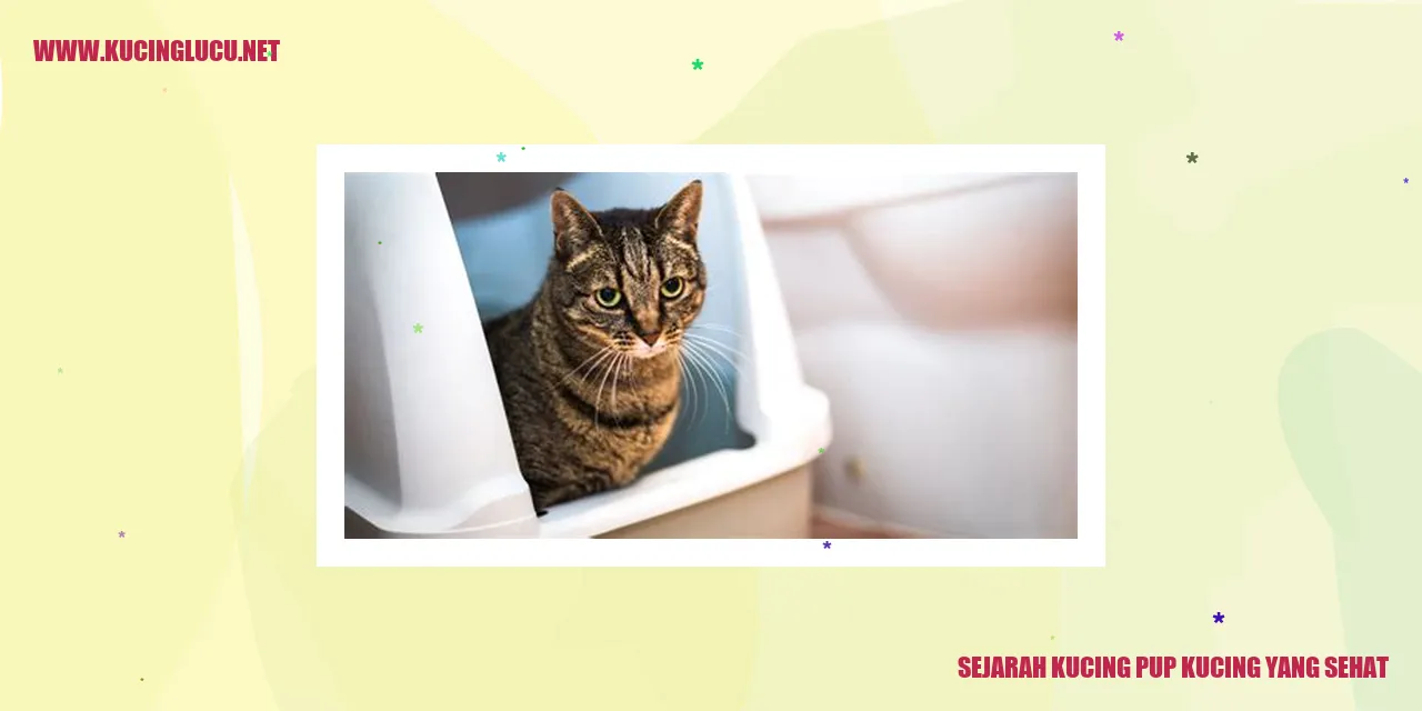 Kucing Sehat