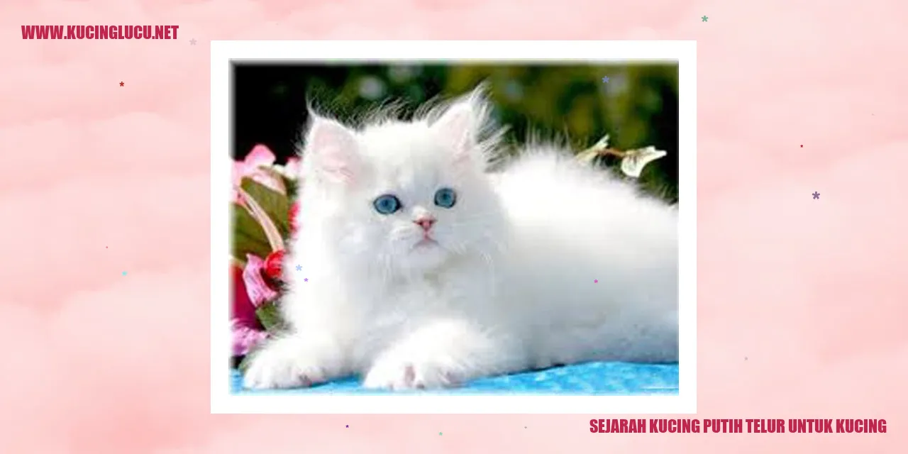 Gambar Kucing Putih Telur