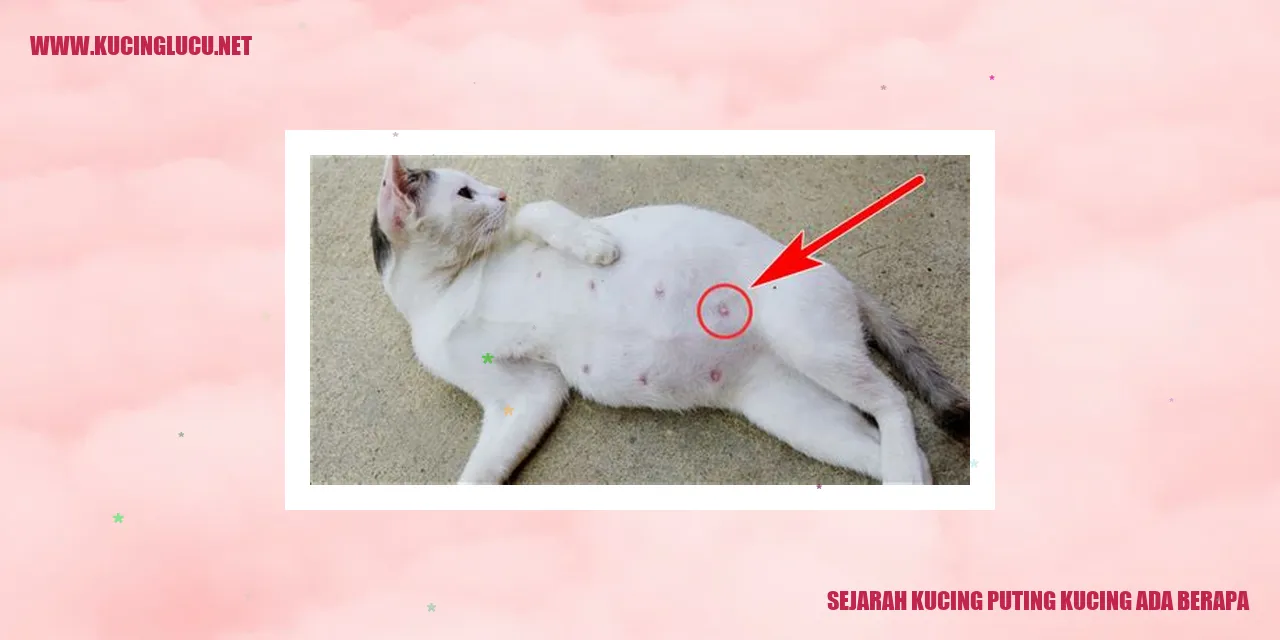 Sejarah Kucing Puting Kucing