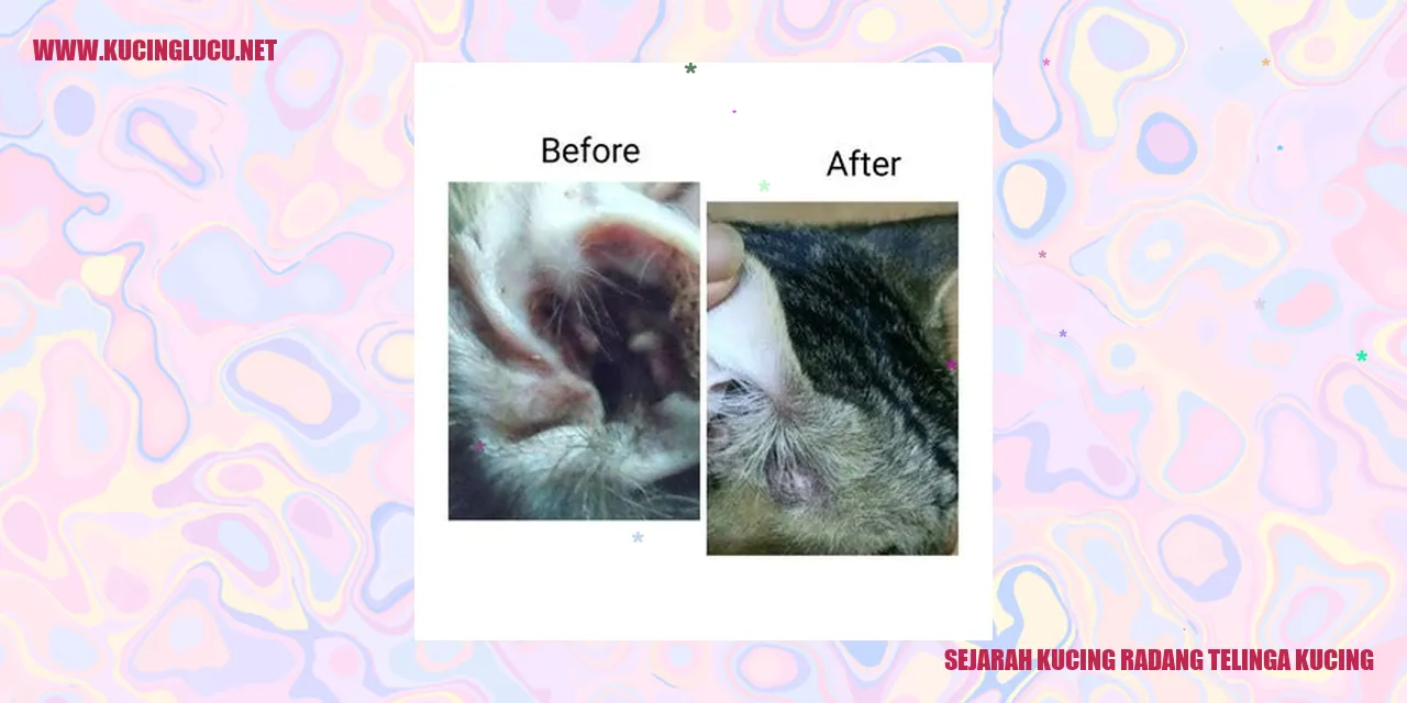 Ilustrasi Kucing yang Mengalami Radang Telinga