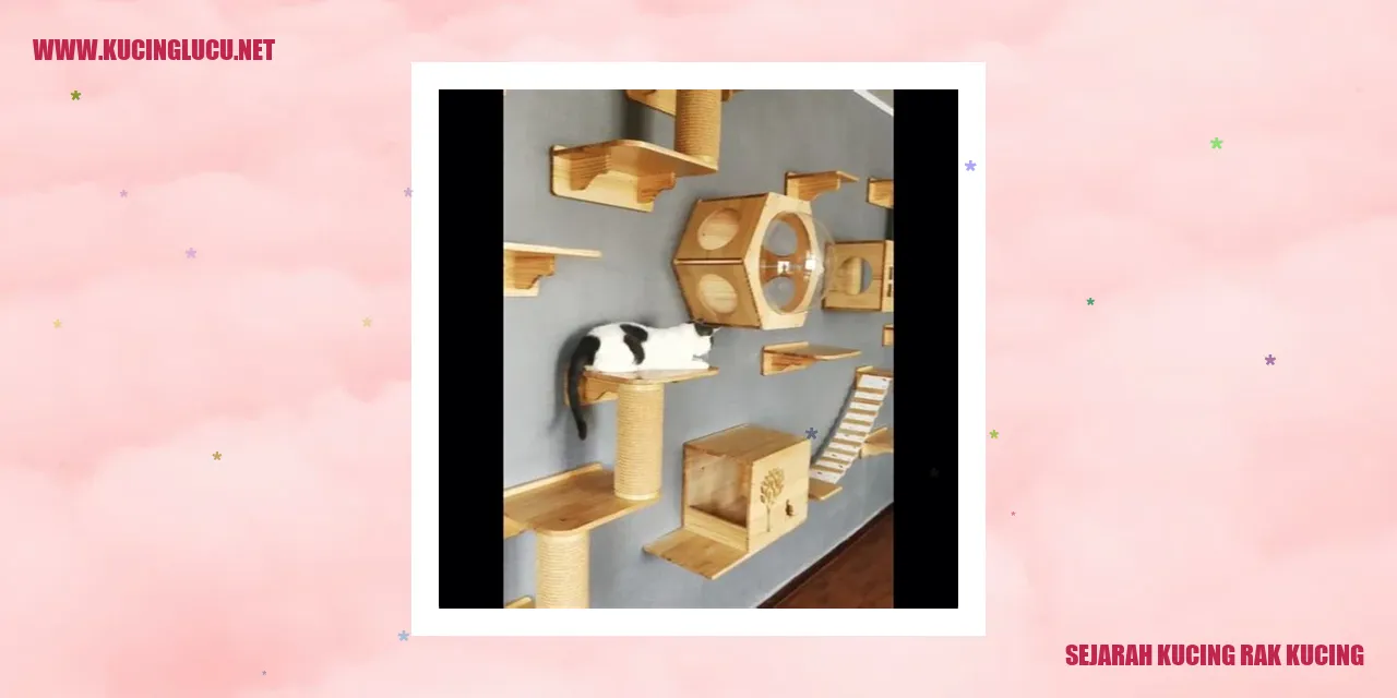 Sejarah Kucing Rak Kucing