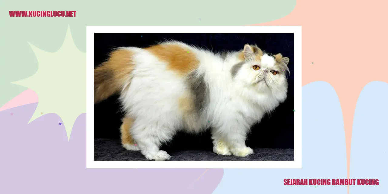 Kucing Rambut Kucing