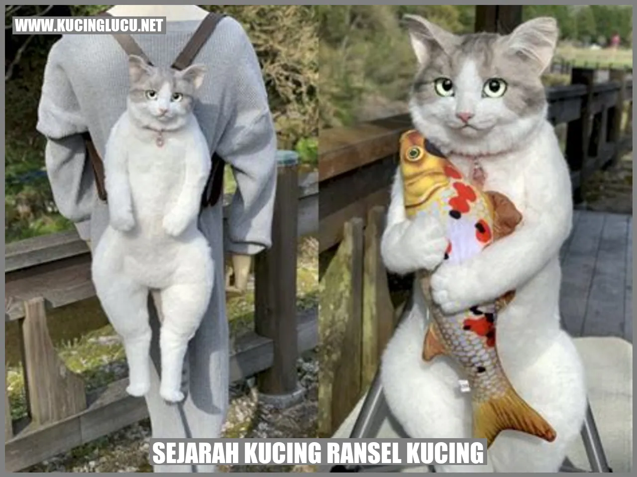 Kucing ransel kucing