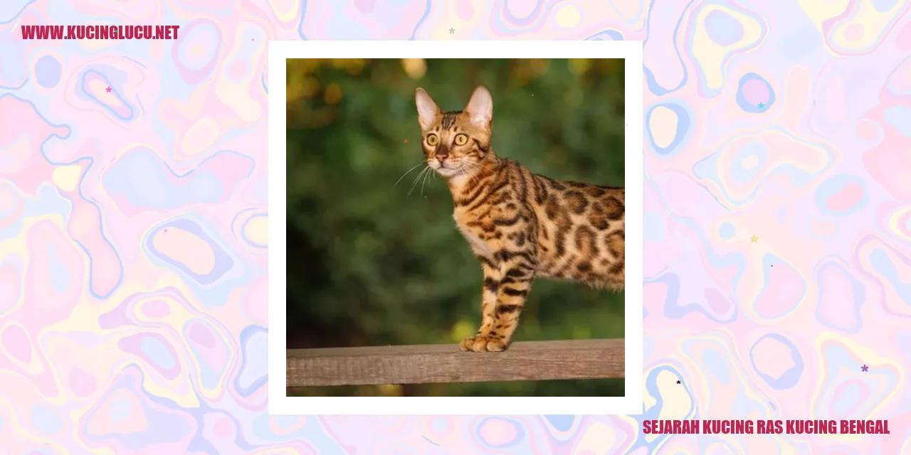 Kucing Bengal