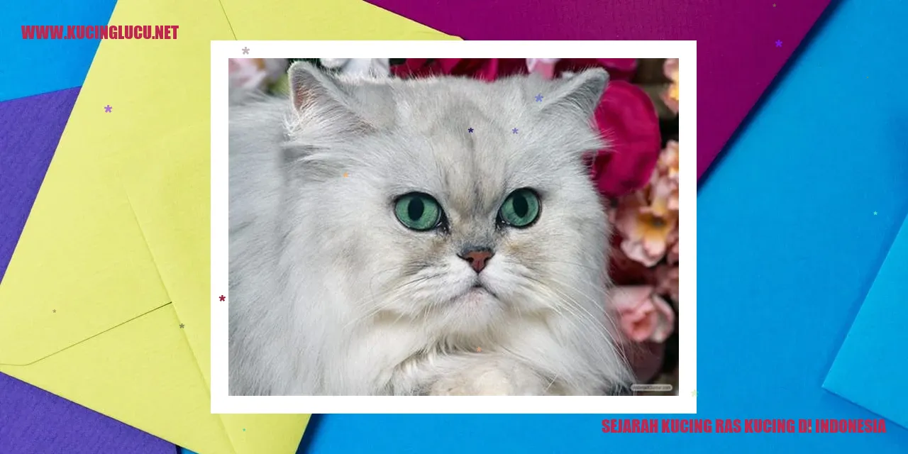 Ilustrasi Kucing