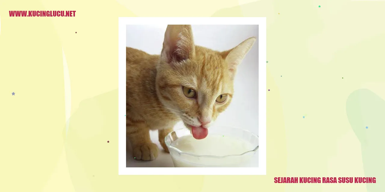 Gambar kucing dan susu