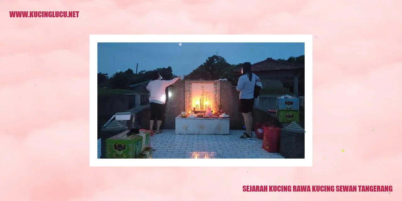 Gambar Kucing Rawar Kucing Sewan Tangerang