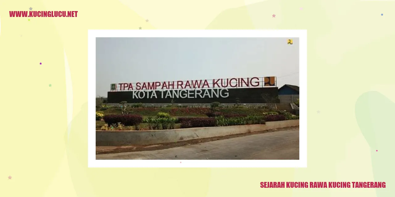 Gambar Kucing Rawa Kucing Tangerang